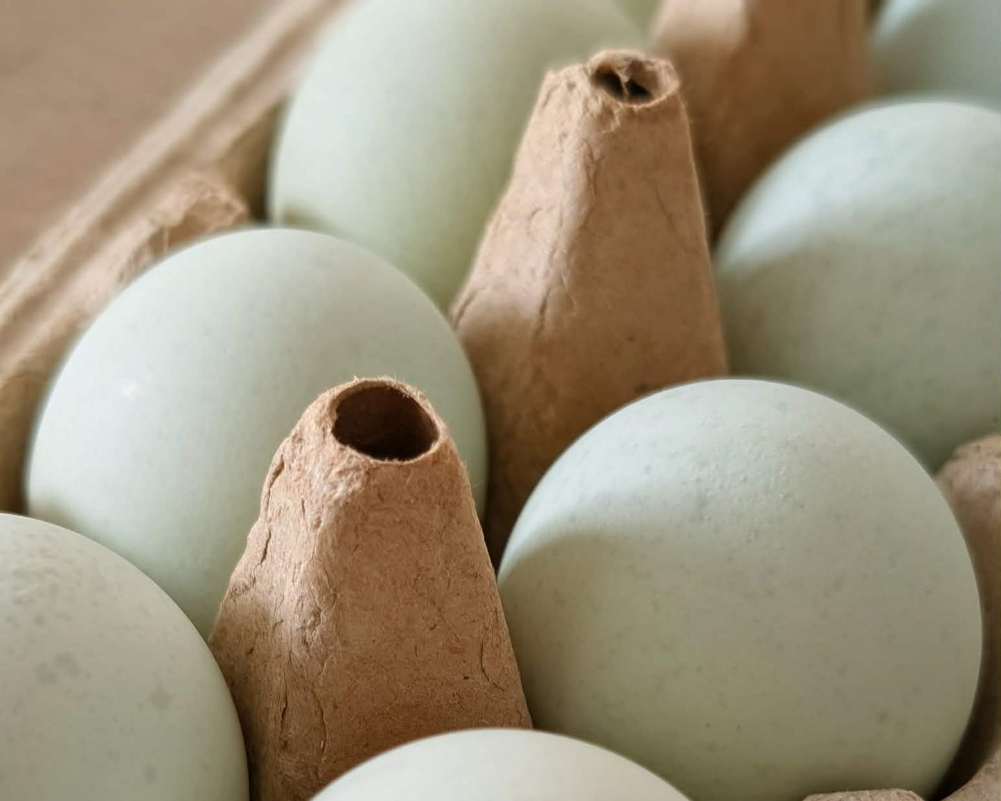 Heritage Eggs