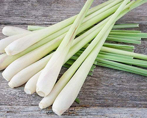 Organic Lemongrass (1 lb.)