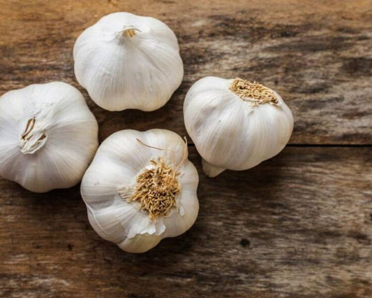 Organic Garlic (1 lb.)