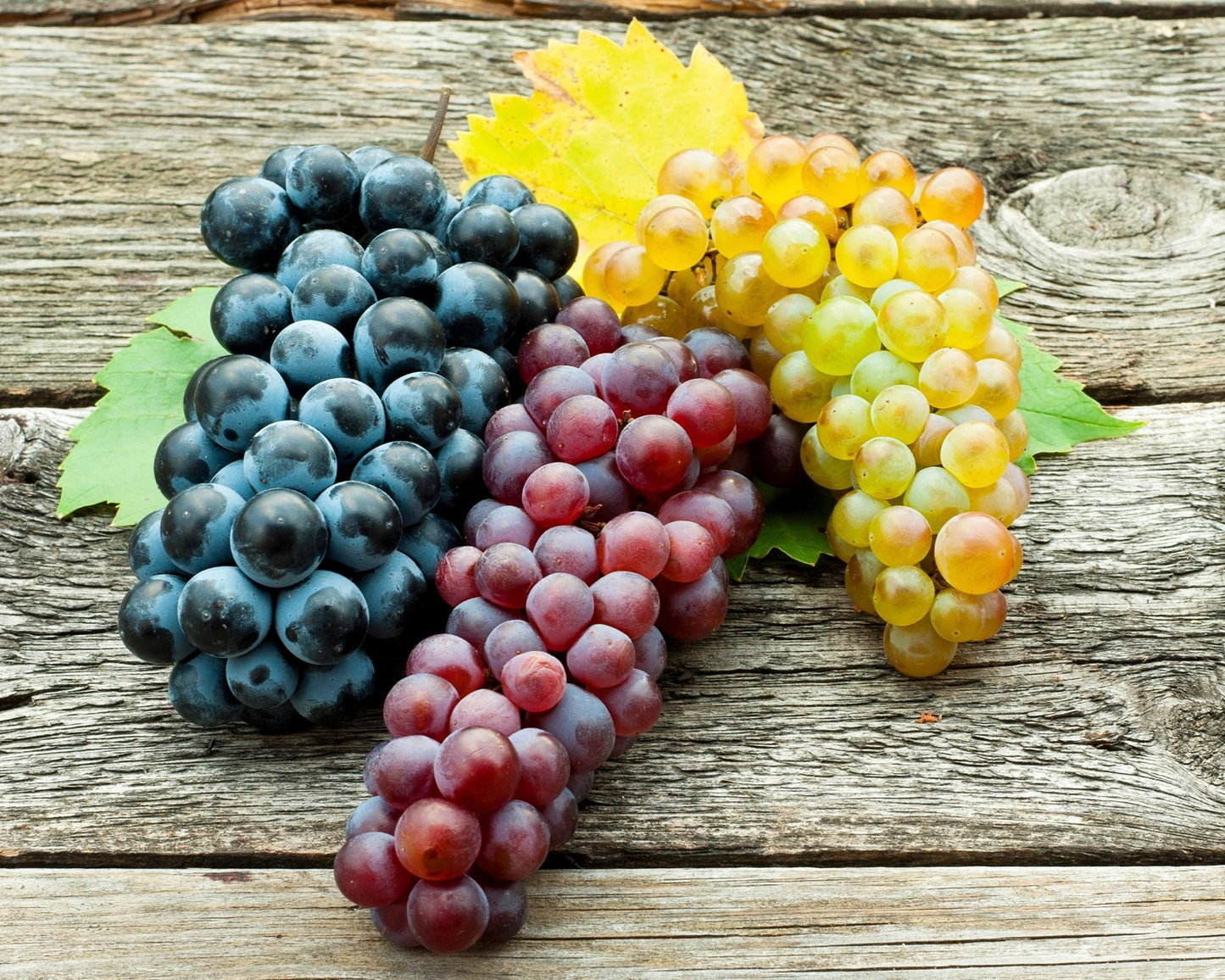 Grapes (2 lbs.)