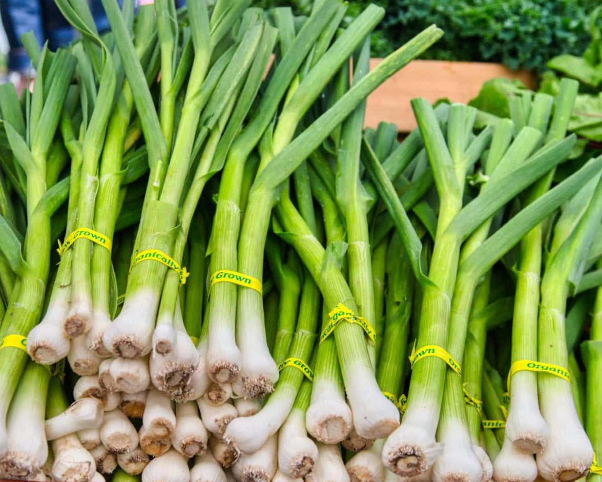 Organic Green Garlic bunch