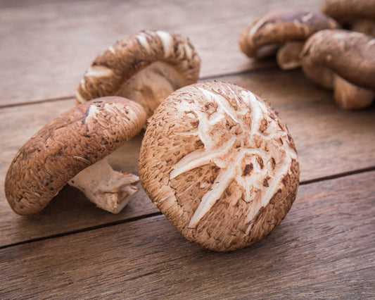 Organic Shiitake Mushrooms (1 lb.)