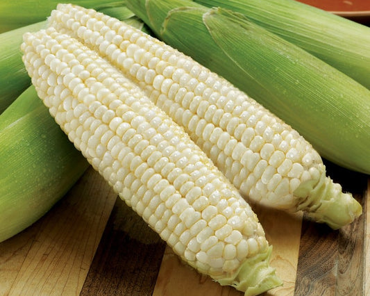 White Corn on the Cob (4 for $5)