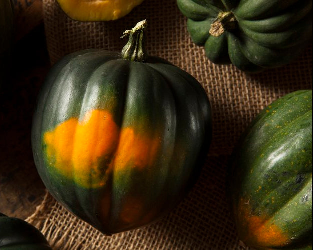 Organic Acorn Squash (2 for $6)
