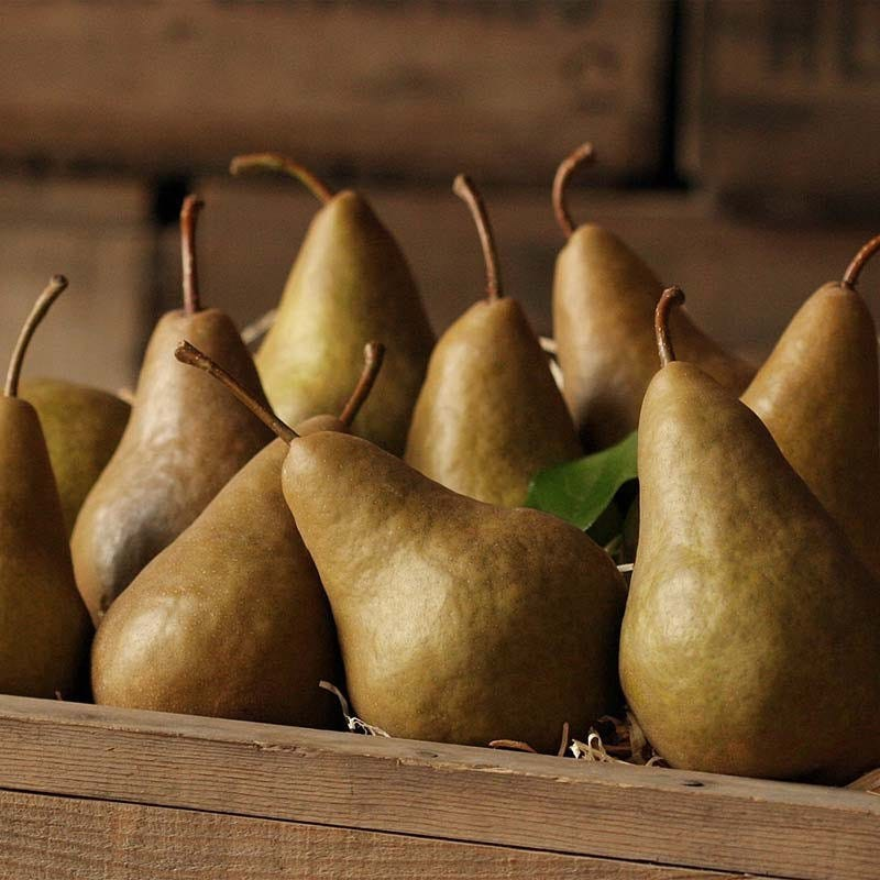 Bosc Pears (3 lbs.)