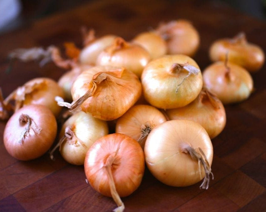 Cipollini Onions (1 lb.)