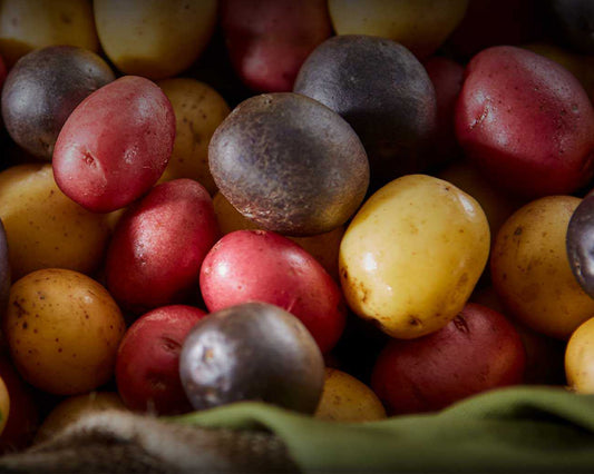 Organic Baby Potatoes (3 lbs.)