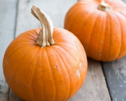 Two Organic Sugar Pie Pumpkins