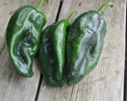 Poblano Peppers (6 for $5)