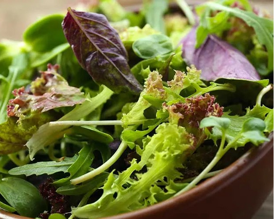 Organic Spring Mix