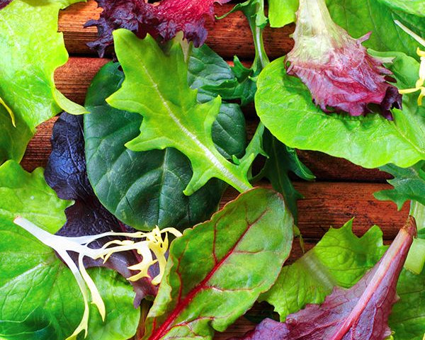 Organic Spring Mix