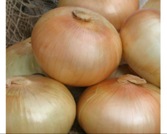Organic Vidalia Onions (5 lbs.)